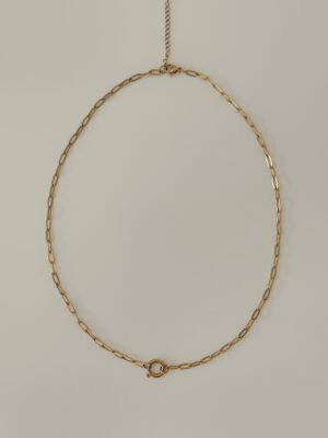 Clip Chain Necklace (Backing in Stock)
